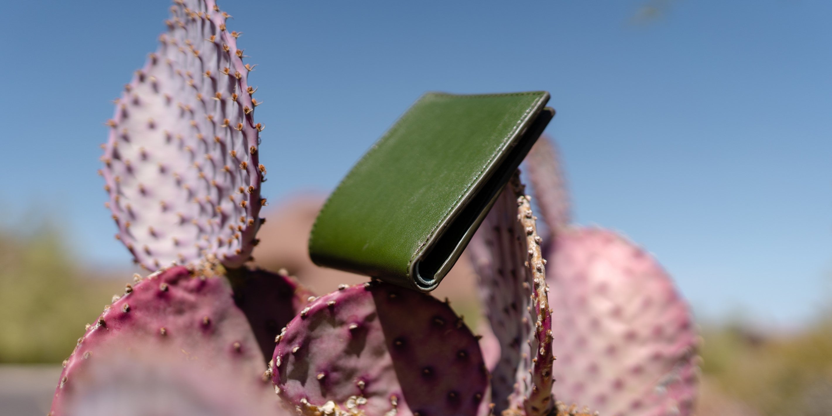 green bifold wallet made from cactus