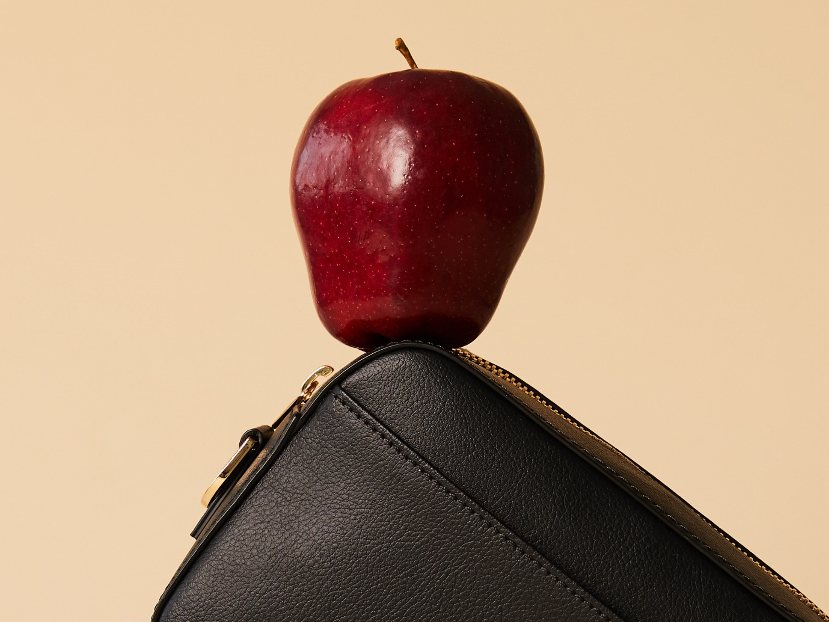 vegan sustainable bags made in US from apples cactus and pineapples