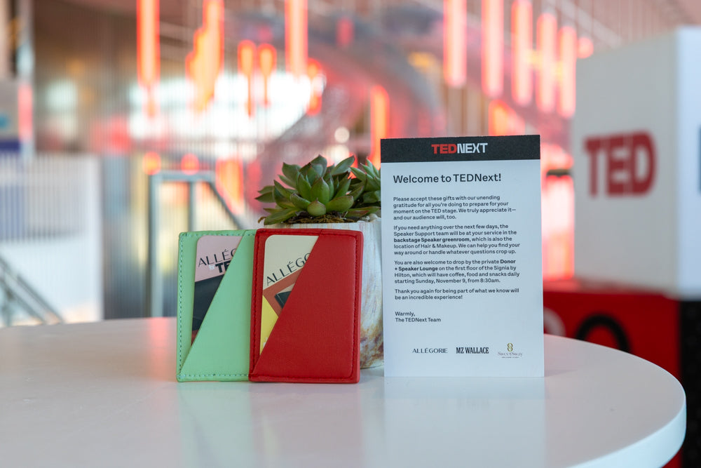 Allégorie at TEDNEXT