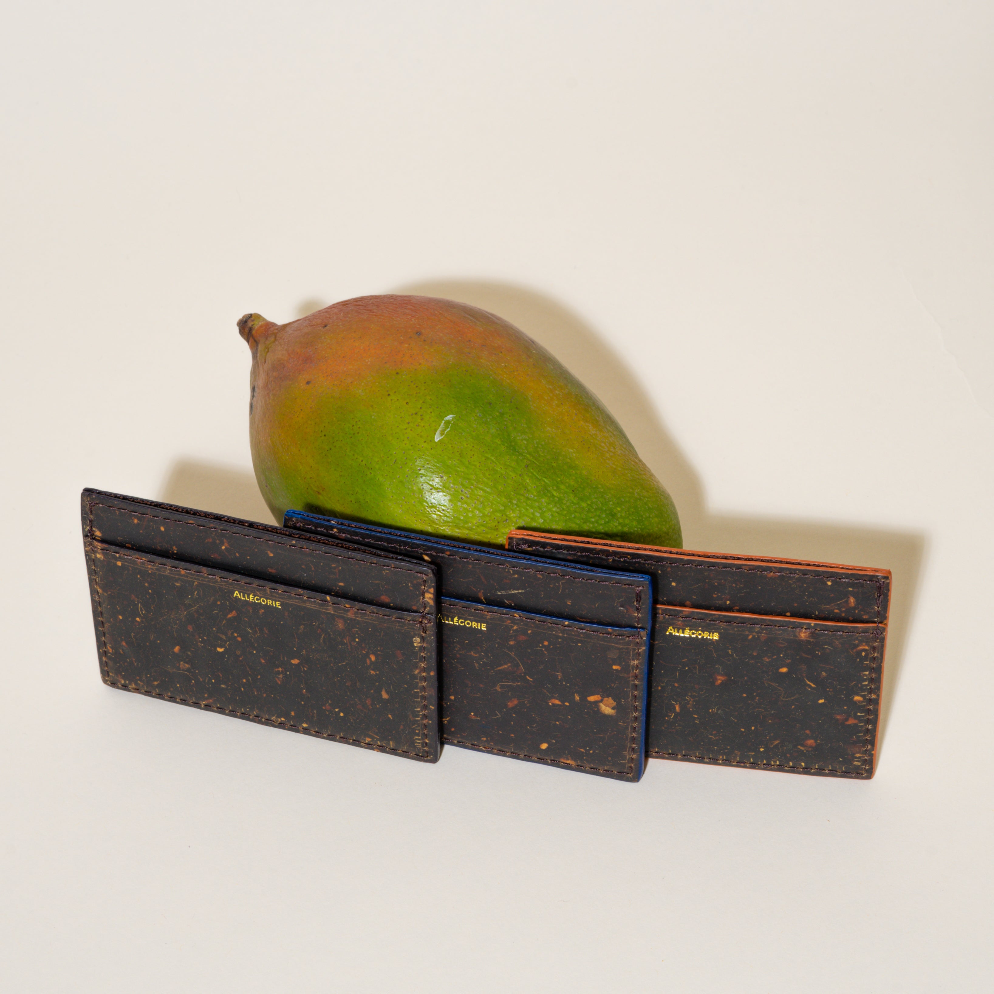 mango cardholder