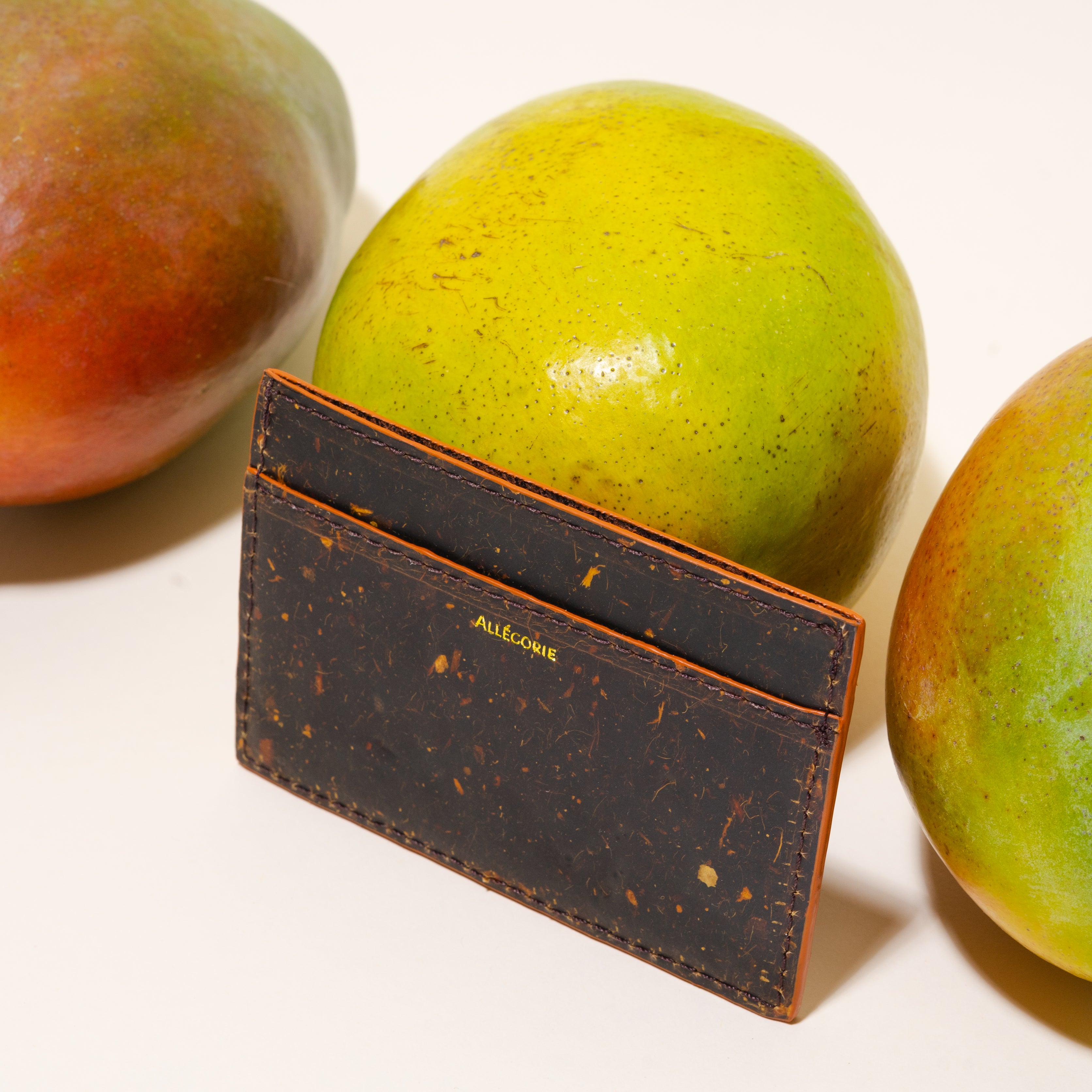 mango cardholder